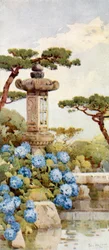 Un cespuglio di ortensie (litografia a colori)