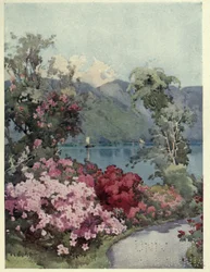 Azalee, Lago di Como, illustrazione da 