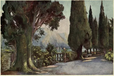 Viale dei cipressi, Villa del Pizzo, Lago di Como, illustrazione da 