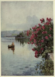 Oleandri, Lago di Como, Illustrazione da 