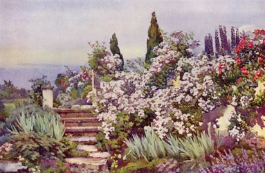 I gradini del giardino