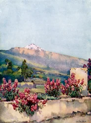 Il Picco, dalla Villa Orotava