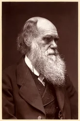 Charles Darwin: naturalista inglese