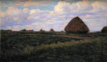 Covoni in un Campo Verde