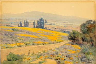 Paesaggio di primavera in California