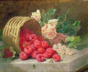 Cestino rovesciato con lamponi e ribes bianco