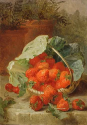 Fragole in una foglia di cavolo, 1891