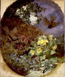 Scriccioli che nutrono i loro piccoli in un nido (s. & d. 1876)