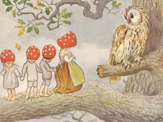 I bambini di Tomtebo - La mamma gufo