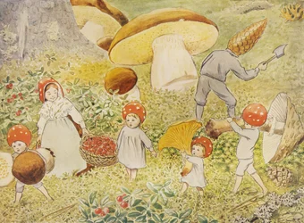 I bambini di Tomtebo: Mushroom Kids