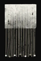 Linee discendenti (astratto)