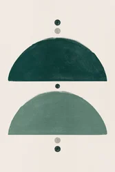Equilibrio delle forme verdi