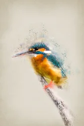 Un vivace martin pescatore appollaiato