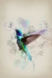 Colibrì dai vivaci colori ad acquerello