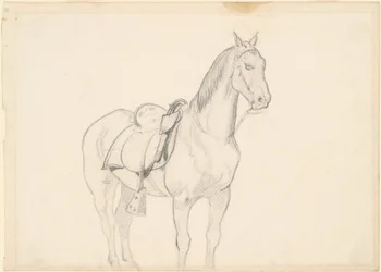 Cavallo