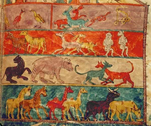 Animali all