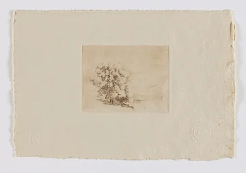 Connecticut Hillside (portafoglio fm.)