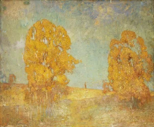 Paesaggio illuminato dal sole