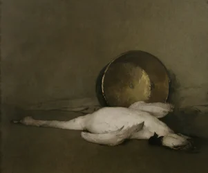 Il cigno selvatico
