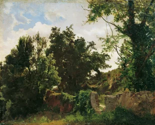 Muro del castello a Plankenberg