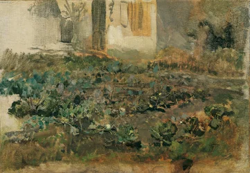 Campo di rape, 1888 circa (olio su tela)