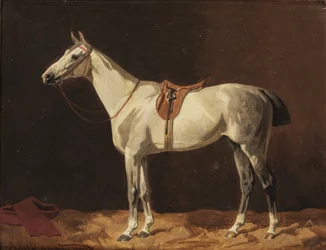 Un cavallo grigio sellato in attesa in una stalla