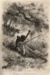 Un leopardo salta su un uomo e lo morde crudelmente sulla schiena, nei pressi di Bambare (Congo), incisione dopo un disegno di Emile Bayard, illustrando l
