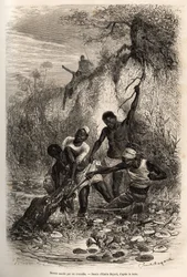 Un marinaio della spedizione, attaccato da un coccodrillo, incisione di Emile Bayard per illustrare una spedizione in Africa Centrale
