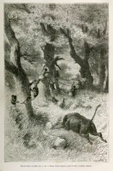 Sconfitta della spedizione davanti alla carica di un bufalo, disegno di Emile Bayard, per illustrare la storia: Attraverso l