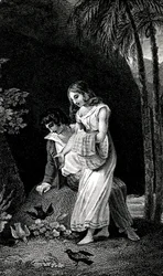 Incisione che illustra un