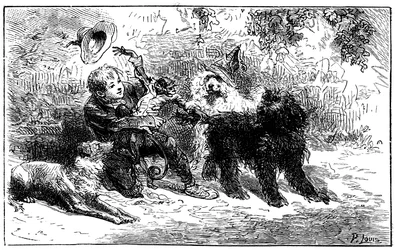Illustrazione di Emile Bayard per il romanzo di Hector Malot "Sans Famille": Remi gioca con i suoi amici, gli animali sapienti della troupe di Monsieur Vitalis, artista itinerante - Joli-Coeur (cuore carino), la scimmia e i tre cani Capi, Zerbino e Dol