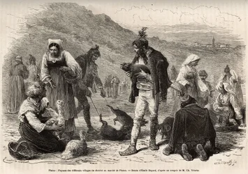 I contadini nei dintorni di Pisino (Croazia), si riuniscono per la vendita dei loro prodotti agricoli al mercato: pollame, maialini..., incisione da un disegno di Emile Bayard illustrante il viaggio in Istria e Dalmazia, nel 1874, di Charles Yriarte, pubbl