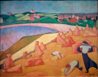 Tempo di raccolta vicino al mare