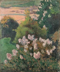 Paesaggio di Saint-Briac, 1886