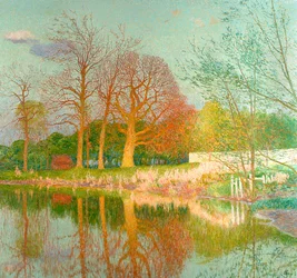 Albero di castagno al sole della sera
