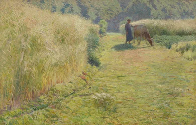 Cicalino