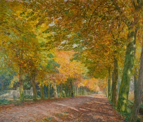 Corsia del sole