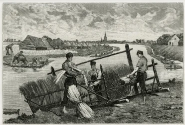 La ruggine del lino (macerazione per facilitare la separazione della corteccia dallo stelo) nella Lys (fiume nord della Francia e Belgio). Incisione di Emile Claus, per illustrare la storia “La Belgique”, di Camille Lemonnier, scrittore e critico d