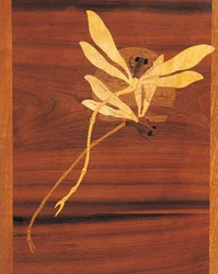 Libellule, dettaglio di mobile in stile Art Nouveau