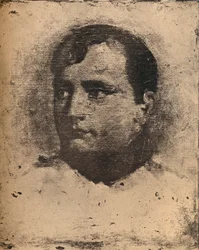 Napoleone, XIX secolo