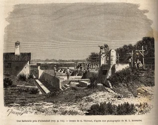 Immagine Sconosciuta