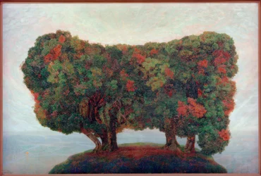 Gruppo di alberi sul mare