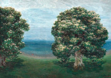 Castagni in fiore