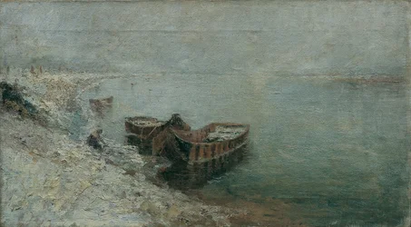 Barche da pesca sulla riva del Danubio