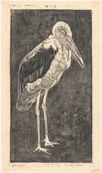 Marabù