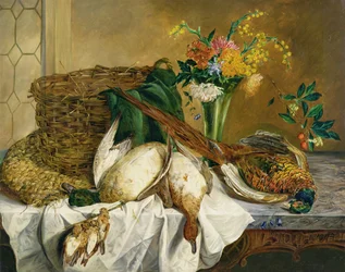 Immagine sconosciuta