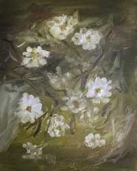 Morbidi fiori bianchi