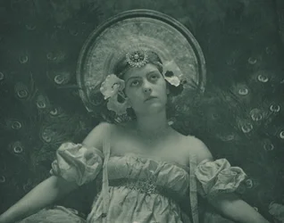 La cicala