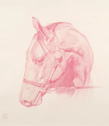 Testa di ritratto, 2010