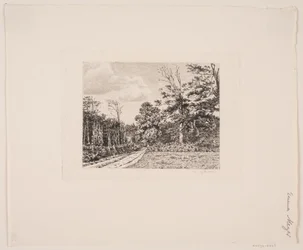 Paesaggio forestale